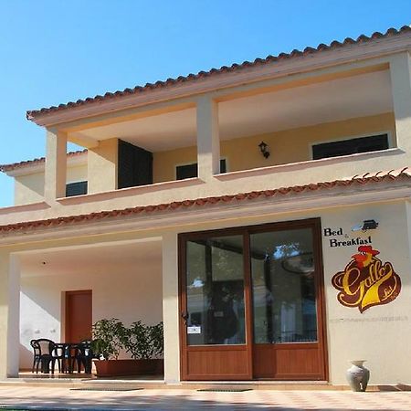 Gallo Spot Hotel San Teodoro  Ngoại thất bức ảnh